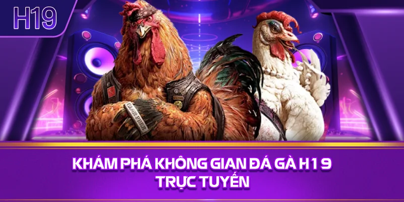 Khám Phá Không Gian Đá Gà H19 Trực Tuyến